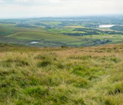 Pennines